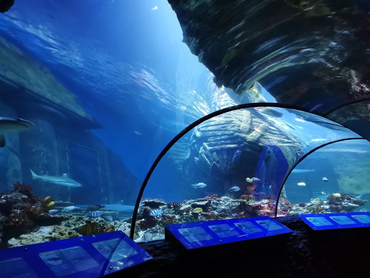 Sea Life Munich
