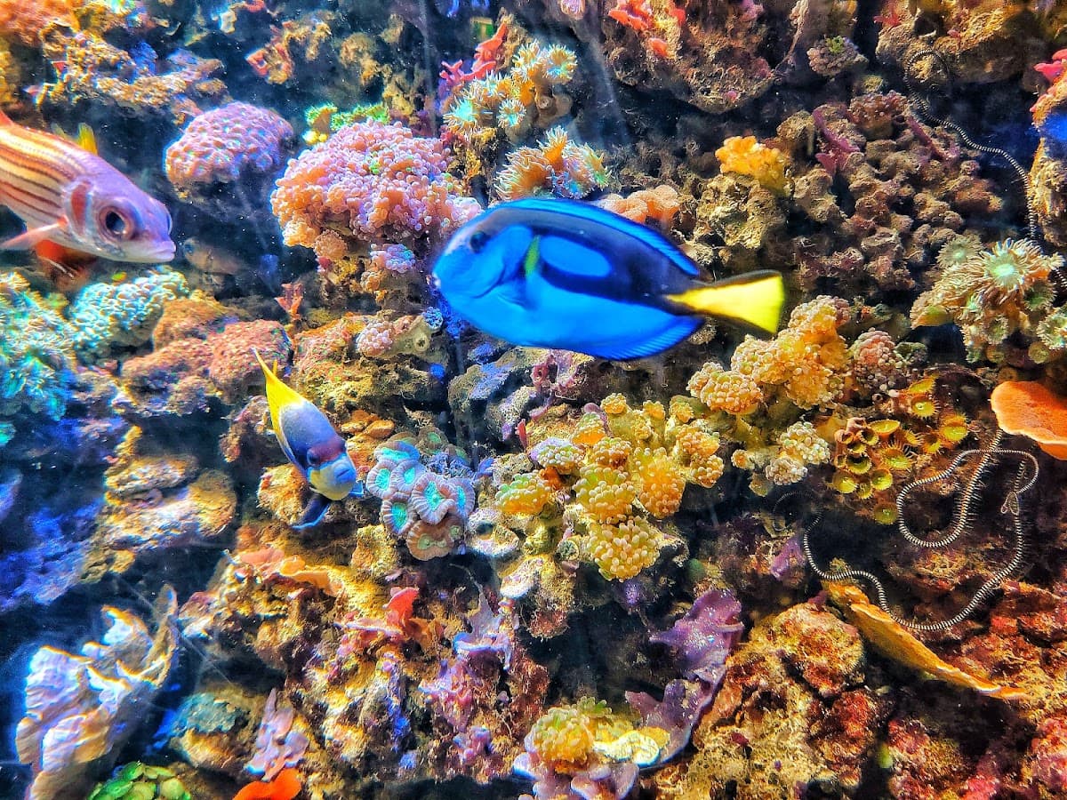 Sea Life Munich