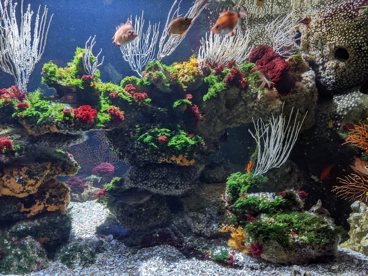 Sea Life Munich