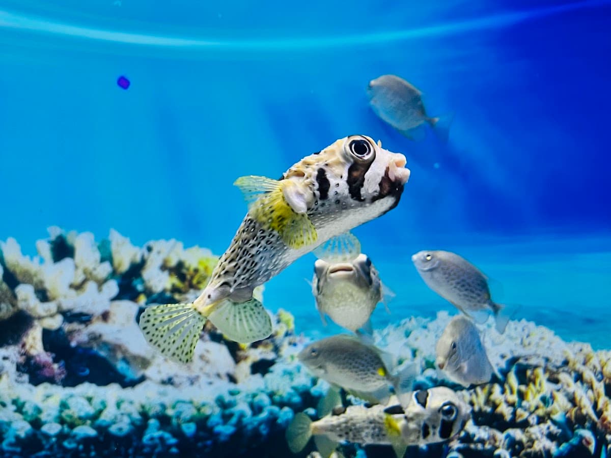 Lotte World Aquarium Hanoi