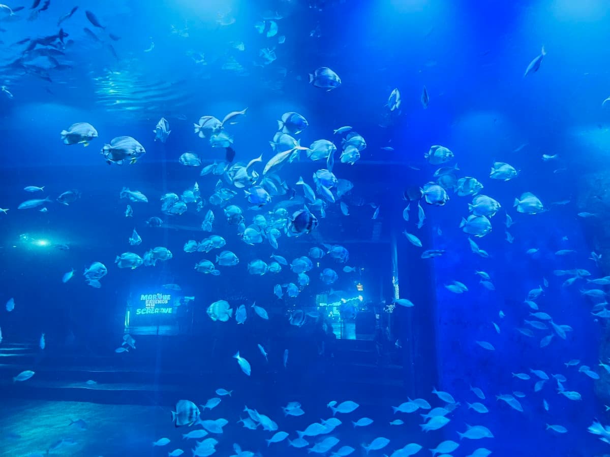 Lotte World Aquarium Hanoi