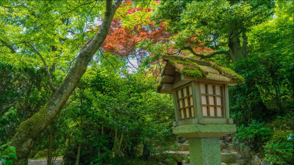 Gita di un giorno a Kyoto, Nara, Fushimi Inari Shrine e Arashiyama