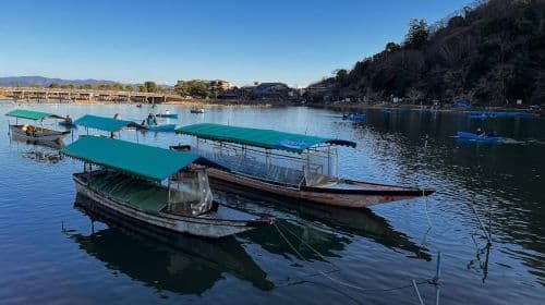 Kyoto: Arashiyama and Bamboo Forest Tour Day Tours