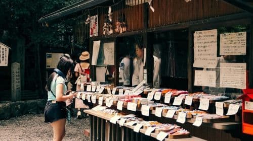 Kyoto: Arashiyama Bamboo Forest & Tenryuji Temple Day Tours