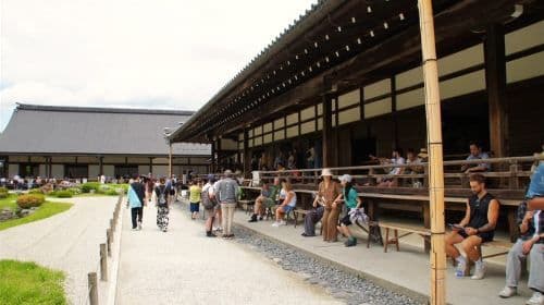Kyoto: Arashiyama Bamboo Forest & Tenryuji Temple Day Tours