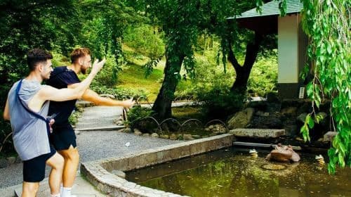 Kyoto: Arashiyama Bamboo Forest & Tenryuji Temple Day Tours