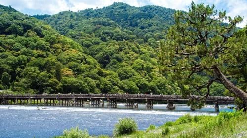 Kyoto: Arashiyama Bamboo Forest & Tenryuji Temple Day Tours