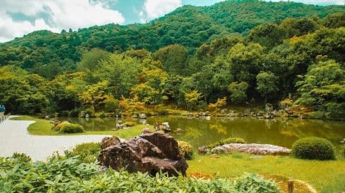 Kyoto: Arashiyama Bamboo Forest & Tenryuji Temple Day Tours