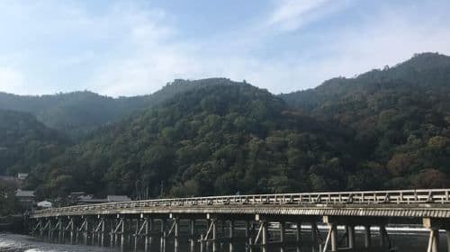 Kyoto: Arashiyama Bamboo Forest and Garden Views Tour Day Tours