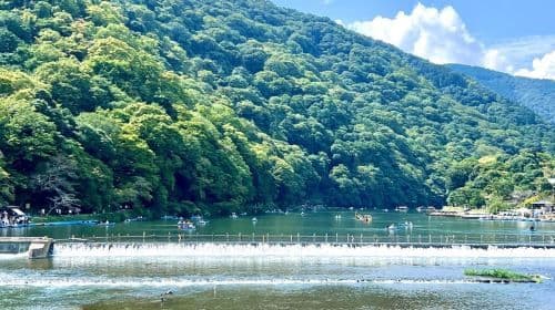 Kyoto: Excursão ao Arashiyama Bamboo Forest e Vistas dos Jardins