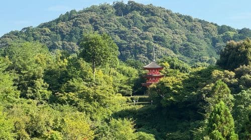 Kioto: Najciekawsze miejsca Gion i ukryte skarby – wycieczka z przewodnikiem