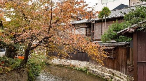 Kyoto: Gion Night Walking Tour with Local Guide