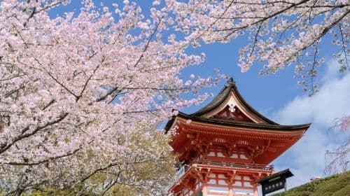 Kyoto: Golden Route Sightseeing Tour via Bus with Lunch Day Tours