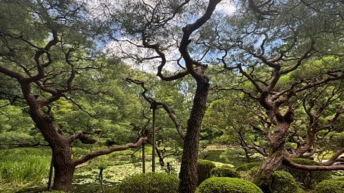 Kioto: Wycieczka do Heian Jingu – Korzenie Kioto i całodniowe wycieczki po malowniczych ogrodach