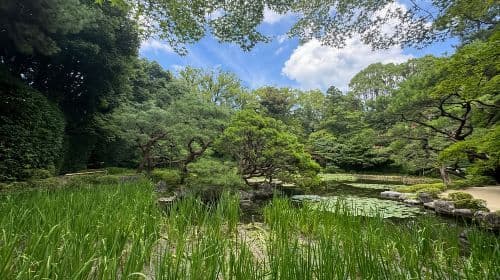Kyoto: Heian Jingu Tour - Roots of Kyoto & Scenic Gardens Day Tours