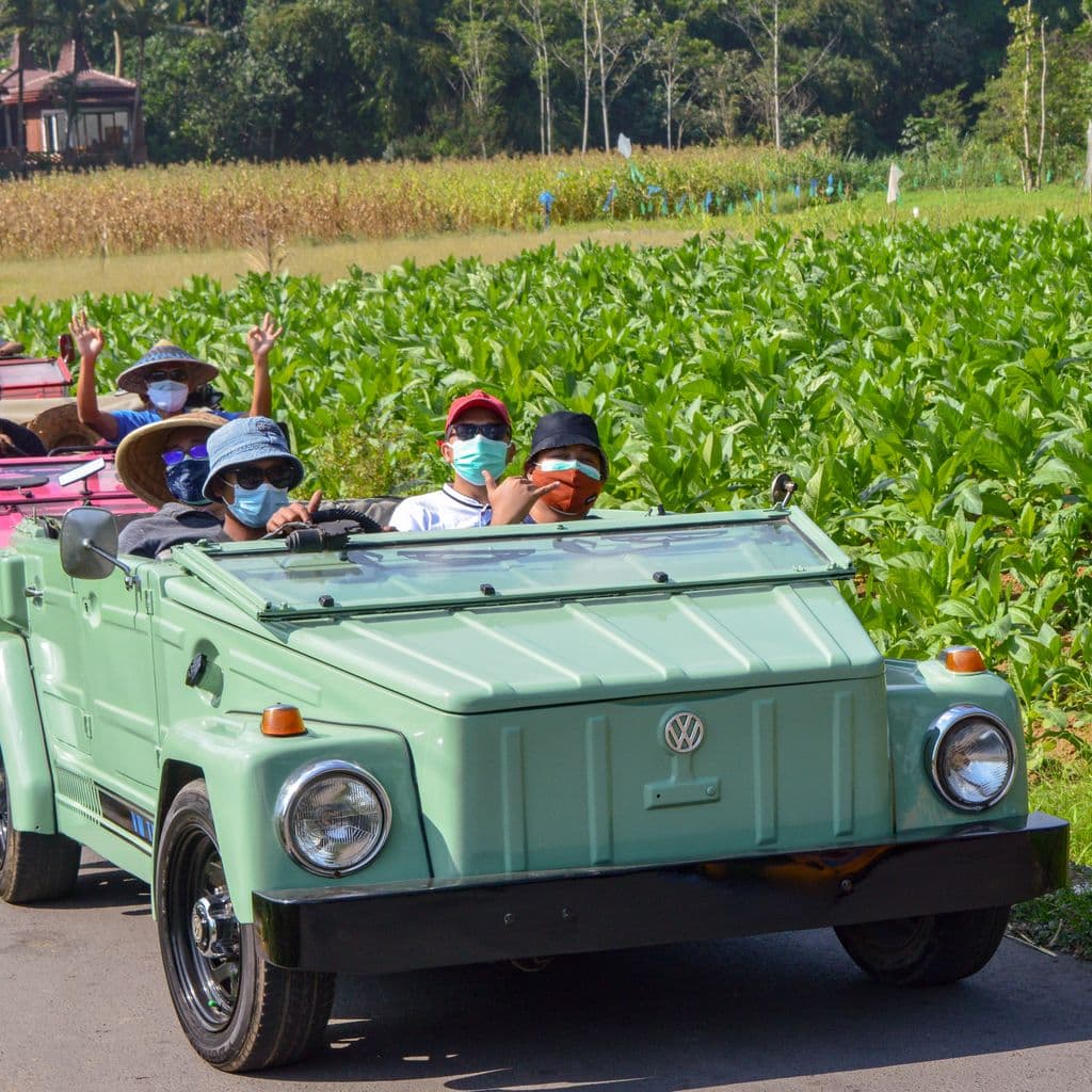 Tour in auto d'epoca VW Safari nei dintorni di Borobudur, Magelang