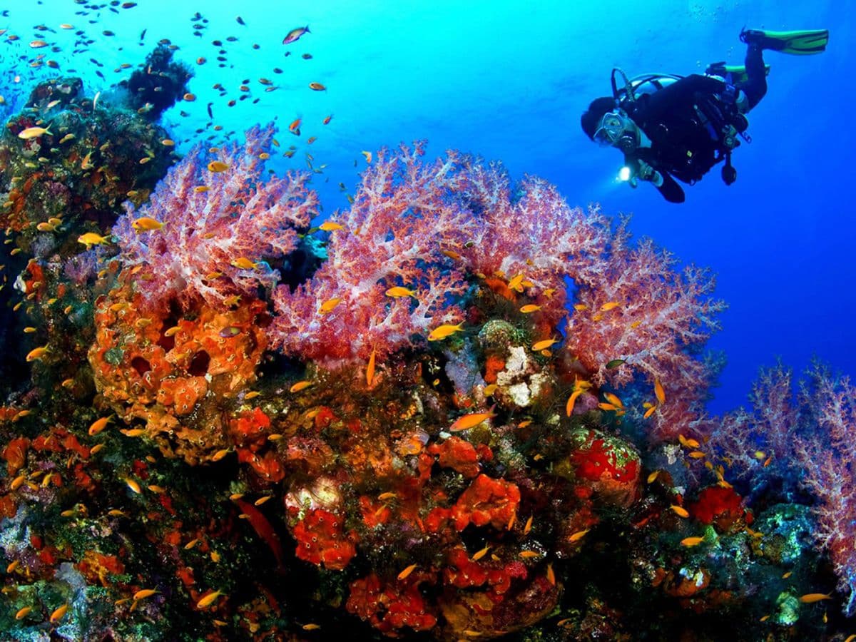 Bharaja Watersport Adventures na Bali