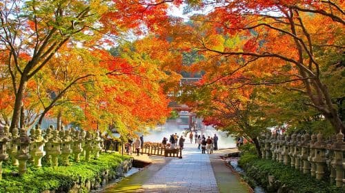 Osaka: Katsuo-ji Temple with Hundreds of Daruma Figures Day Tours