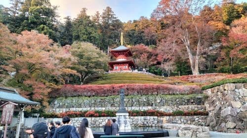 Osaka: Katsuo-ji Temple with Hundreds of Daruma Figures Day Tours