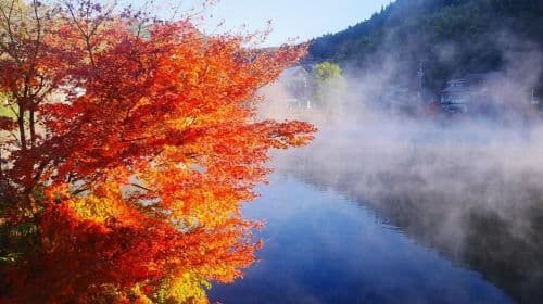 Kyushu Relaxation Tour: Dazaifu, Nyoirinji Temple, Yufuin & Optional Scenic Train Day Tours