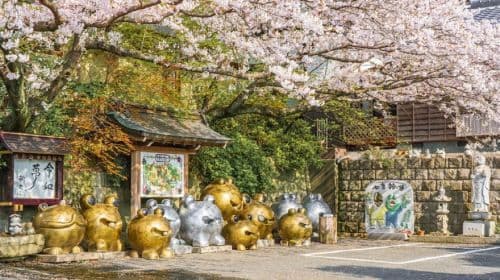 Kyushu Relaxation Tour: Dazaifu, Nyoirinji Temple, Yufuin & Optional Scenic Train Day Tours