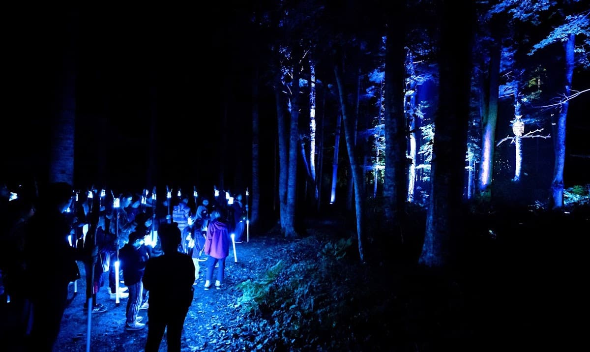 Lake Akan Forest Night Walk "Kamui Lumina"