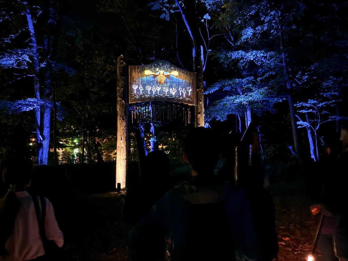 Lake Akan Forest Night Walk "Kamui Lumina"