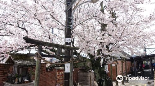 Visite guidée touristique : Wakayama Cat Stationmaster, Shirahama Onsen, falaises de Sandanbeki, excursion d'une journée au Kansai depuis Osaka
