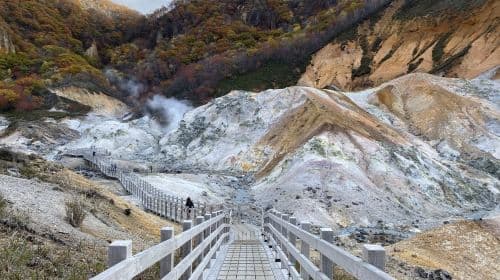 Lake Toya, shared tour Jigokudani, and Bear Farm one-day tour [ Depart from Sapporo, Hokkaido] Day Tours