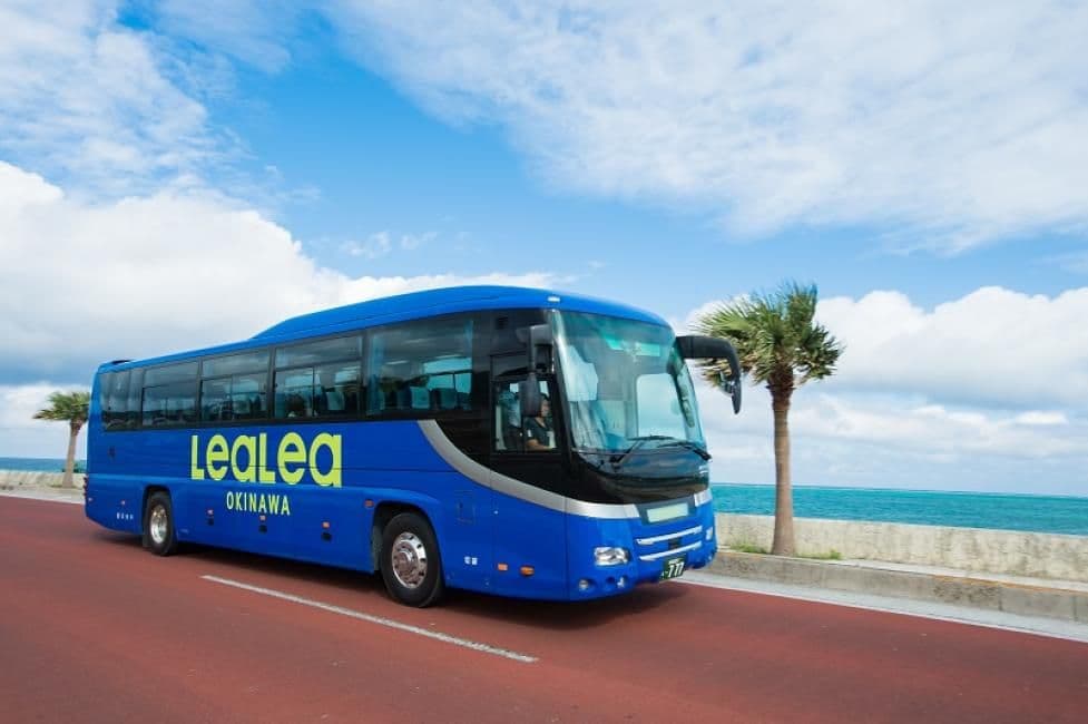LeaLea Trip: Miyakojima Scenic 1-Day Bus Tour | Okinawa Prefecture