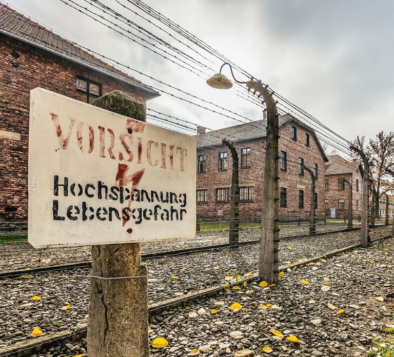 Auschwitz-Birkenau : Billet coupe-file et visite guidée