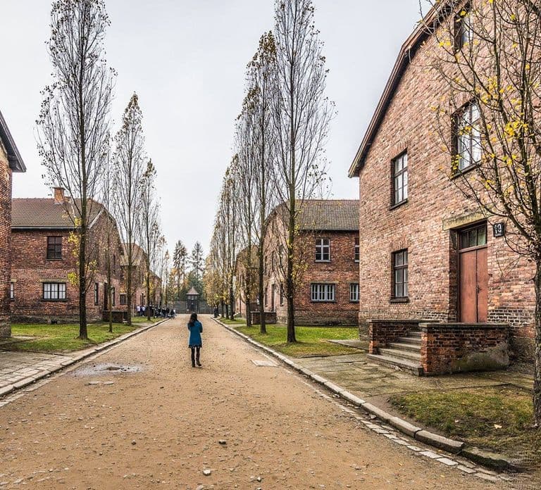 Auschwitz-Birkenau: Skip-the-Line Entry Ticket & Guided Tour