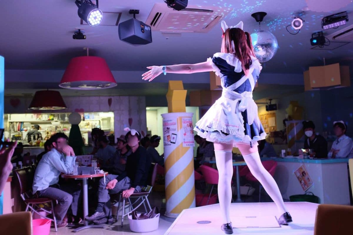 Maidreamin Maid Cafe Experience | Tokyo | Osaka | Shinjuku | Shibuya | Osu | Sapporo