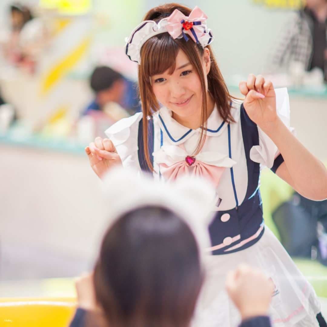 Maidreamin Maid Cafe Experience | Tokyo | Osaka | Shinjuku | Shibuya | Osu | Sapporo