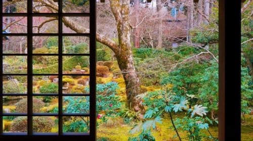 Stagione del foliage: tour di 1 giorno al villaggio dal tetto di paglia di Miyama + Katsuo-ji + sentiero della foresta di bambù di Arashiyama + Santuario Nonomiya