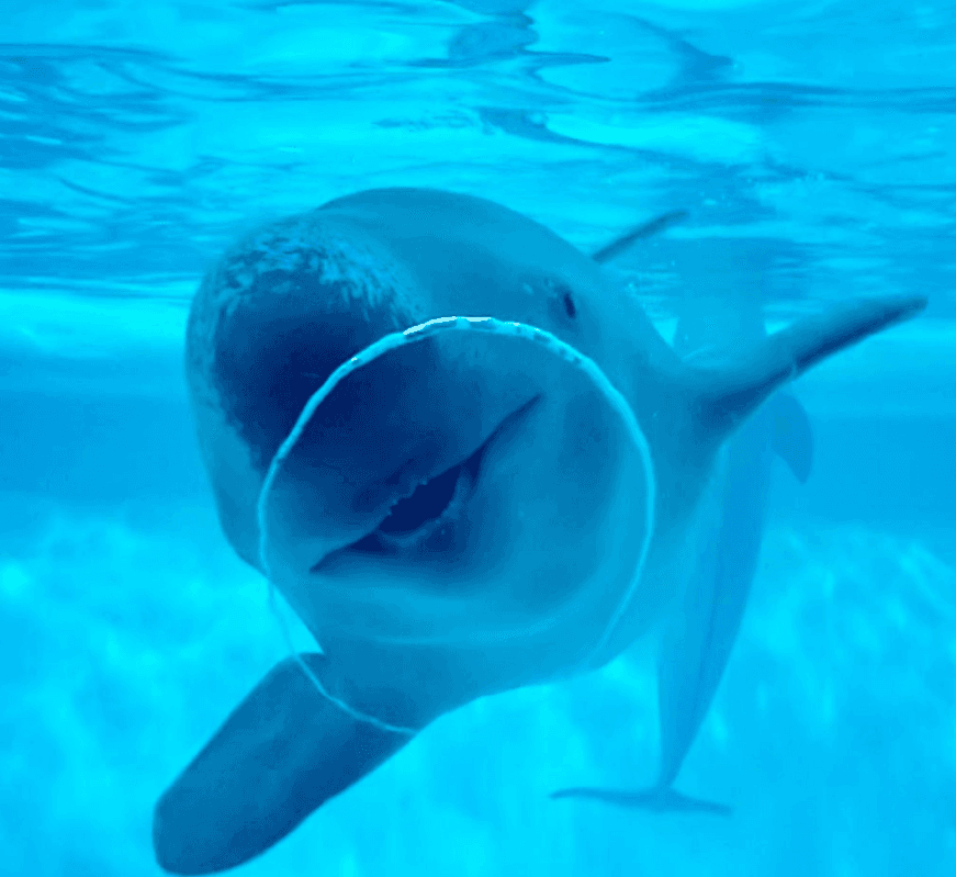 Marine World Fukuoka
