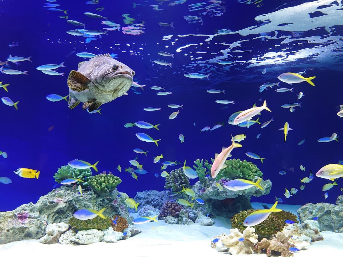 Marine World Fukuoka