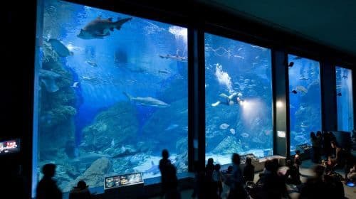 Marine World Fukuoka