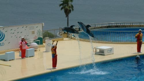 Marine World Fukuoka