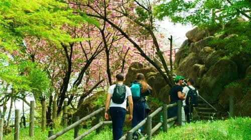 Matsumoto Alles-in-één: Dagtochten naar Kasteel, Miso, Wasabi, Wijn & Ukiyo-e