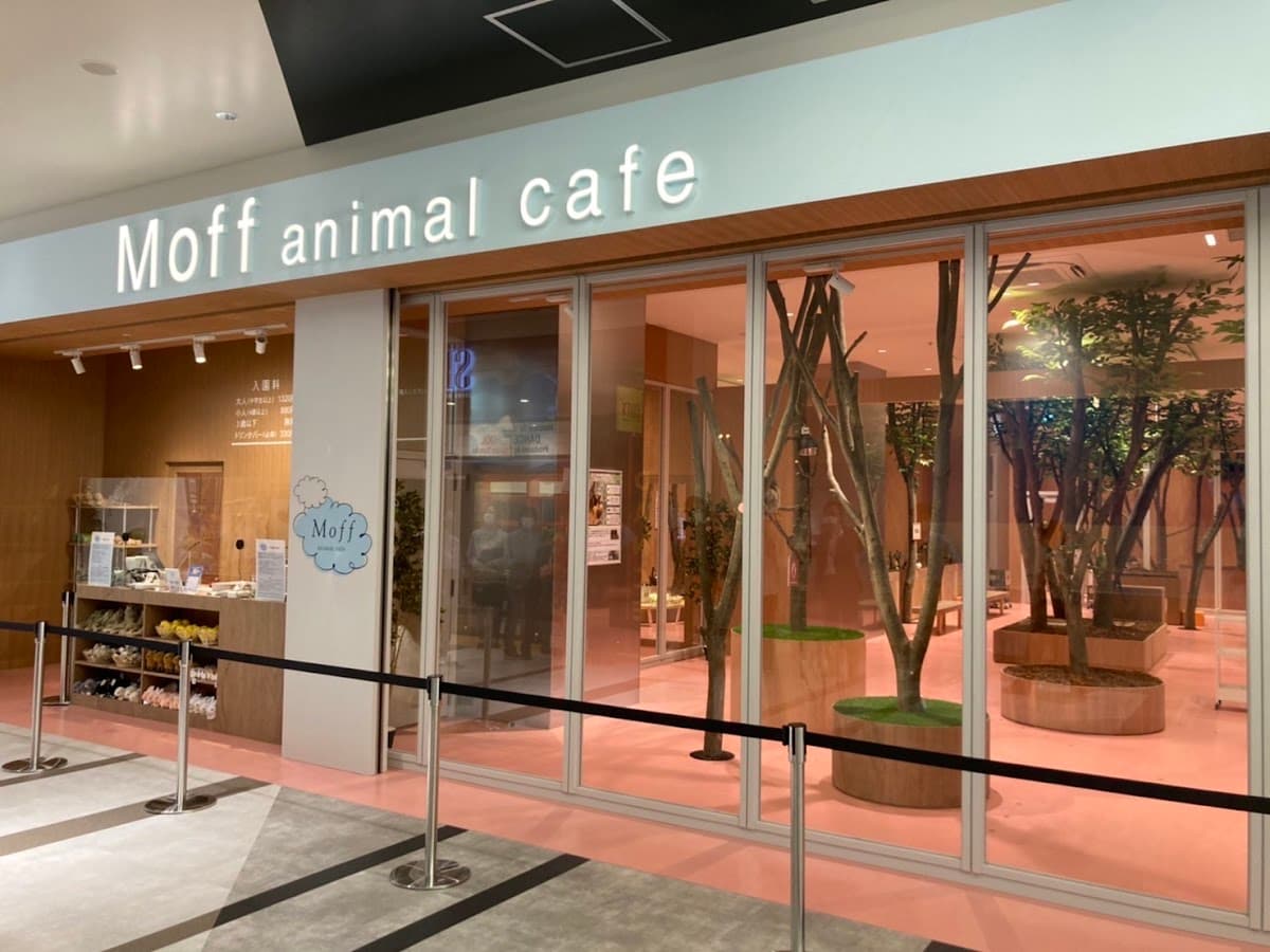 Moff Animal Cafe Lalaport Fukuoka
