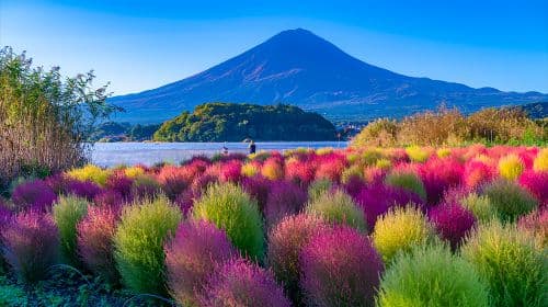 Mount Fuji 1-day tour from Tokyo [Double lakes & six scenic spots for social media check-ins | Optional 9-person minivan transfers] Day Tours