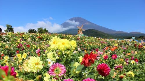 Mount Fuji 1日ツアー（東京発）[2つの湖と6つのSNS映えスポットを巡る | オプションで9人乗りミニバン送迎も選択可能] 日帰りツアー