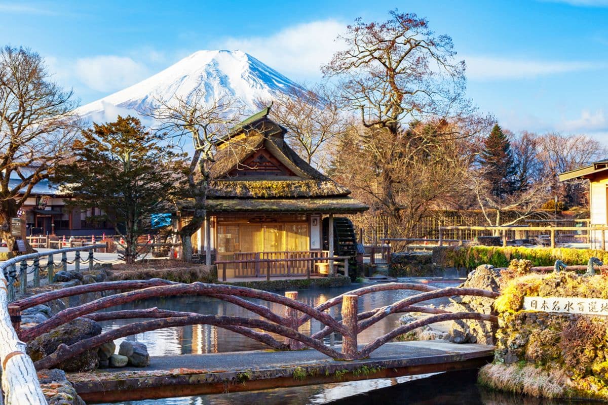 Mount Fuji and Hakone Day Tour: Land, Sea, and Sky Adventure with Ropeway |Tokyo