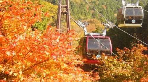 Tour di un giorno al Mt Fuji e Hakone da Tokyo, ritorno con treno proiettile