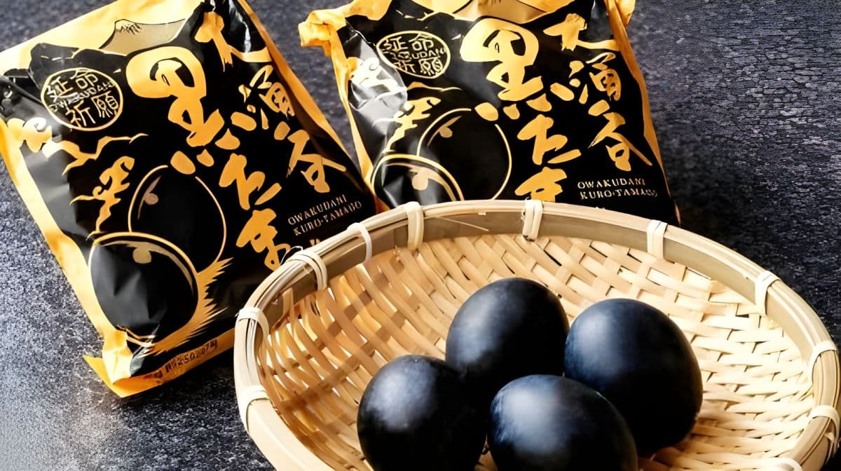富士山与箱根一日游（东京出发，新干线返程）
