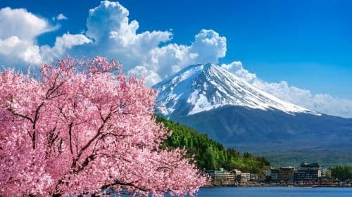 Mount Fuji Panoramic Ropeway, Lake Kawaguchi,Lawson ,Oshino Hakkai One-Day Tour Day Tours