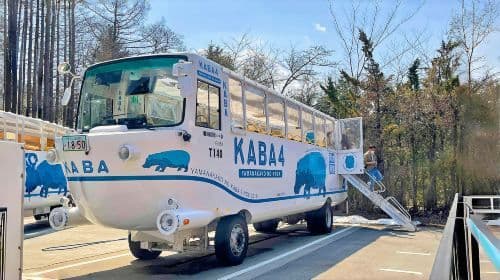 Mount Fuji Twin Lakes 1-day tour: Enjoy the Lakes with a KABA Ride and Swan Views Day Tours