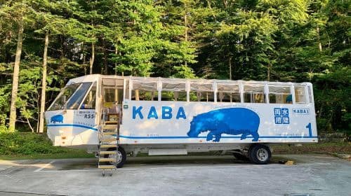 Mount Fuji Twin Lakes 1-day tour: Enjoy the Lakes with a KABA Ride and Swan Views Day Tours