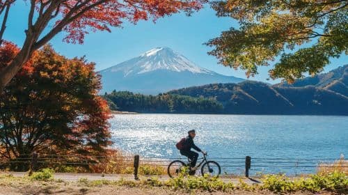 Mount Fuji Twin Lakes 1-day tour: Enjoy the Lakes with a KABA Ride and Swan Views Day Tours